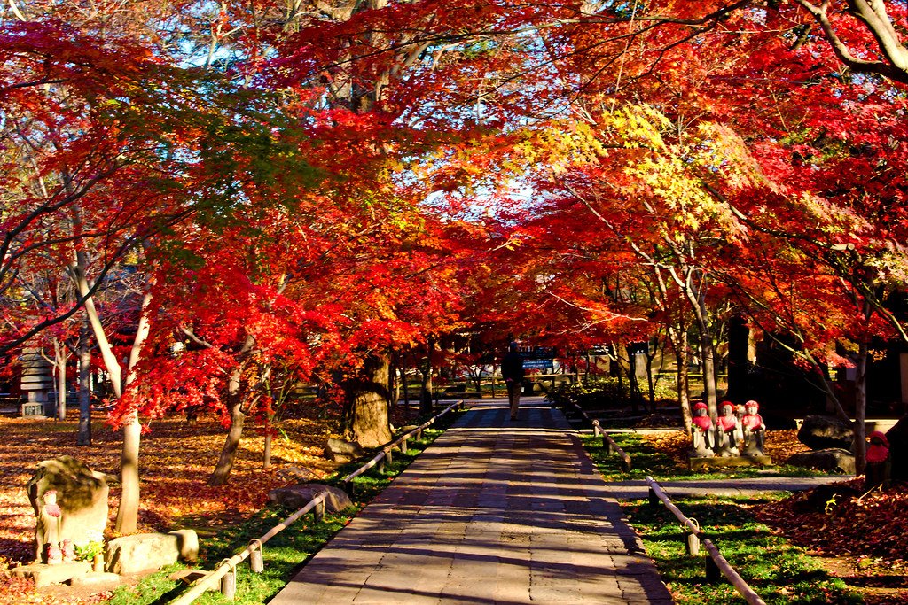 🏯 쿠혼부츠 조신지 이미지 8